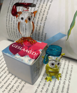 glazen uiltjes in boek met een geslaagd kaarsje