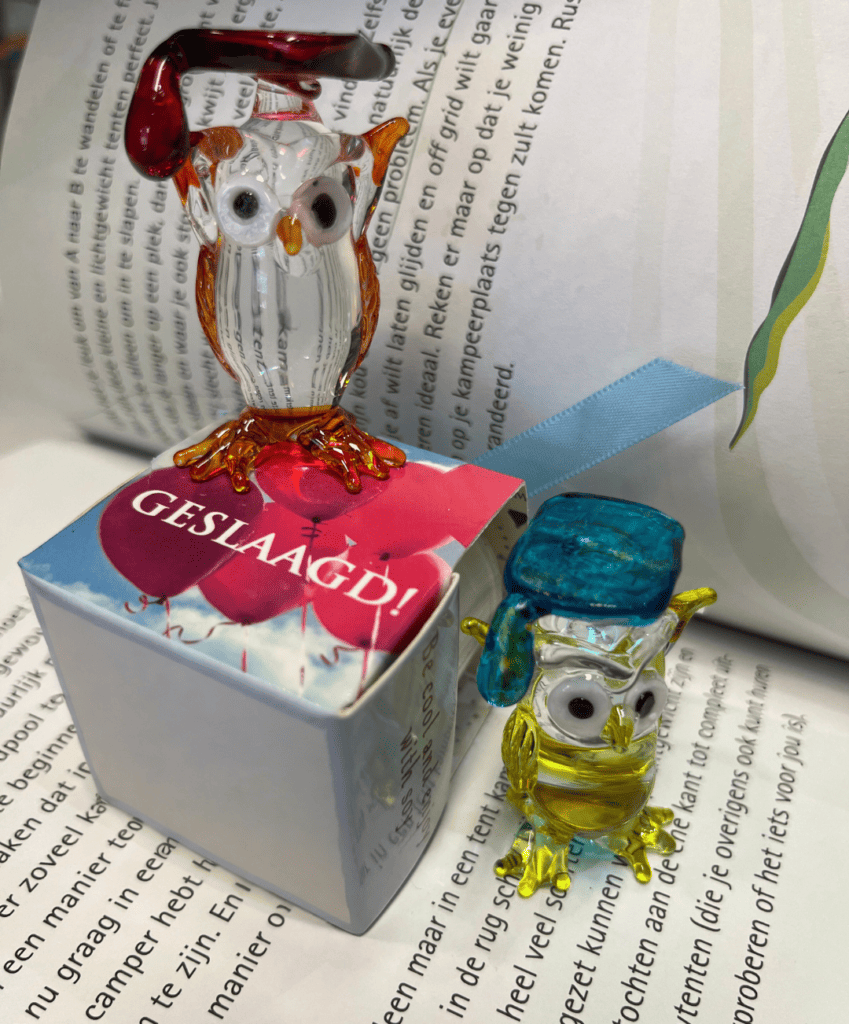 glazen uiltjes in boek met een geslaagd kaarsje